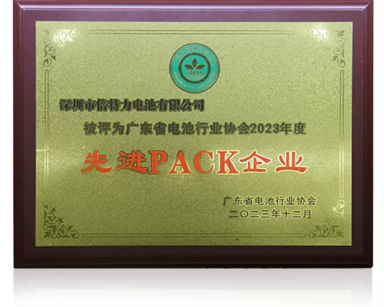 Advanced Pack Enterprise of GuangDong Battery Industry
Association in 2023