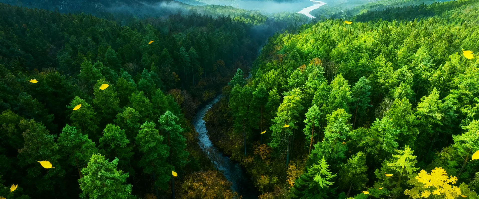 Batteries innovantes