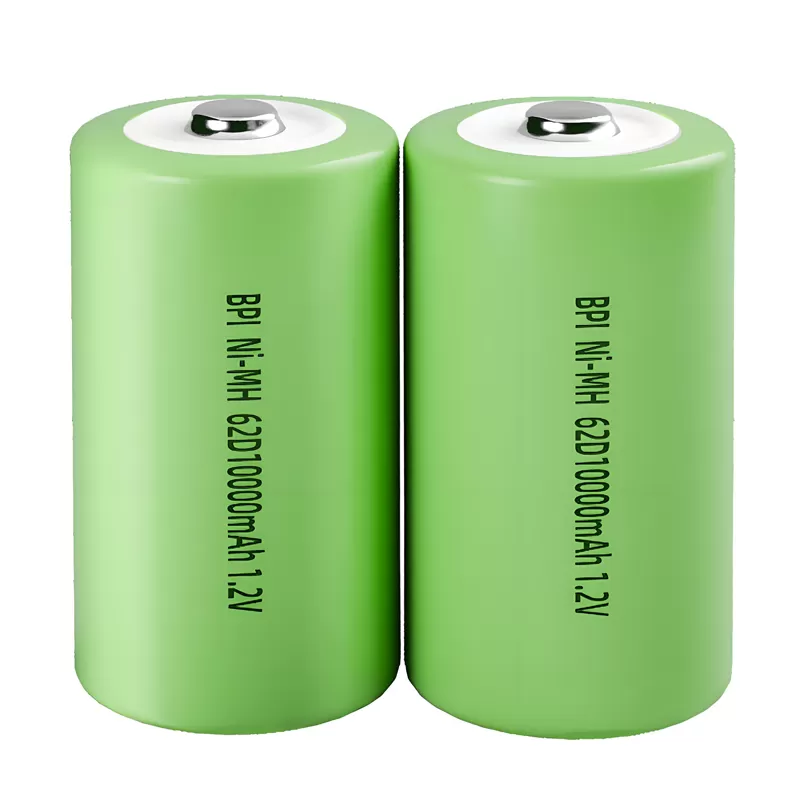 Batteries Ni-MH de type D