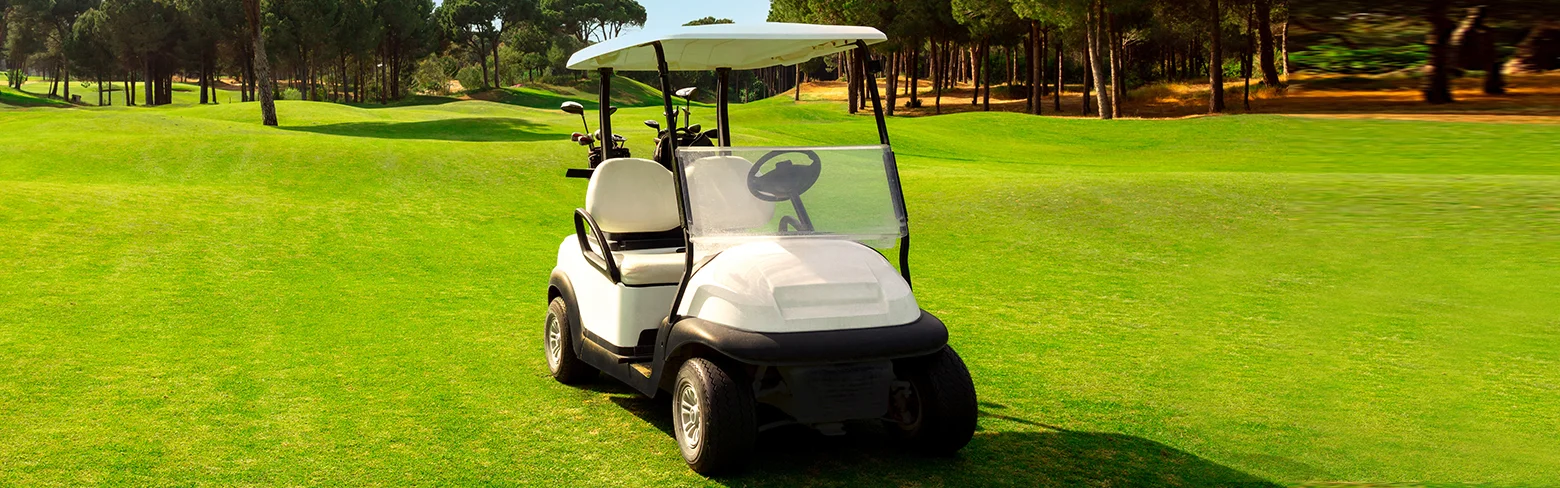 Voiturettes de golf